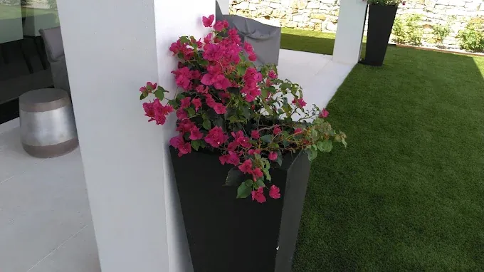 Flower container planting cared for by LBJ Gardens at a residential property in Kingsland, Texas near Lake LBJ